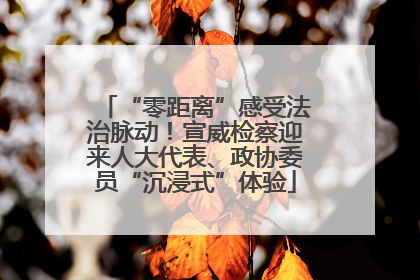 “零距离”感受法治脉动！宣威检察迎来人大代表、政协委员“沉浸式”体验