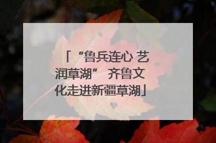 “鲁兵连心 艺润草湖” 齐鲁文化走进新疆草湖