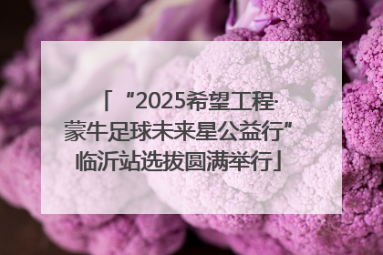 “2025希望工程·蒙牛足球未来星公益行”临沂站选拔圆满举行