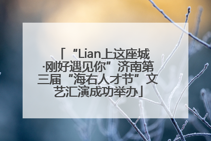 “Lian上这座城·刚好遇见你”济南第三届“海右人才节”文艺汇演成功举办