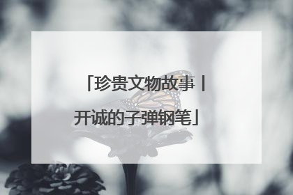 珍贵文物故事丨开诚的子弹钢笔