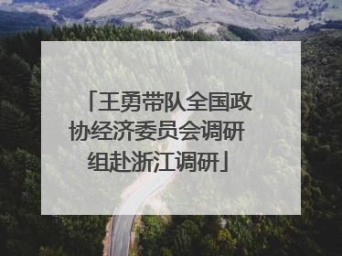 王勇带队全国政协经济委员会调研组赴浙江调研