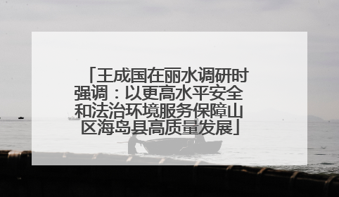 王成国在丽水调研时强调：以更高水平安全和法治环境服务保障山区海岛县高质量发展