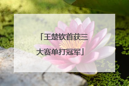 王楚钦首获三大赛单打冠军