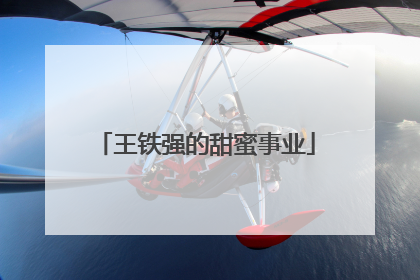 王铁强的甜蜜事业