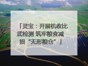 灵宝：开展机收比武检测 筑牢粮食减损“无形粮仓”