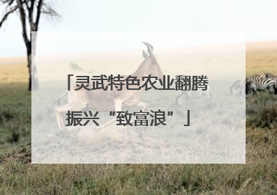 灵武特色农业翻腾振兴“致富浪”