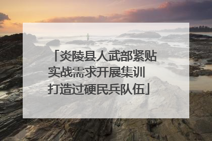 炎陵县人武部紧贴实战需求开展集训 打造过硬民兵队伍