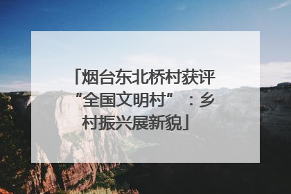 烟台东北桥村获评“全国文明村”：乡村振兴展新貌
