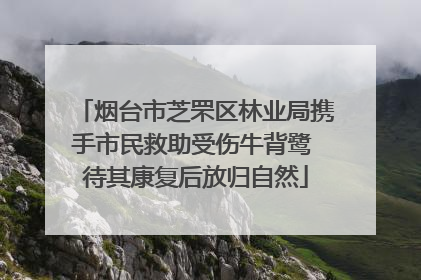 烟台市芝罘区林业局携手市民救助受伤牛背鹭 待其康复后放归自然