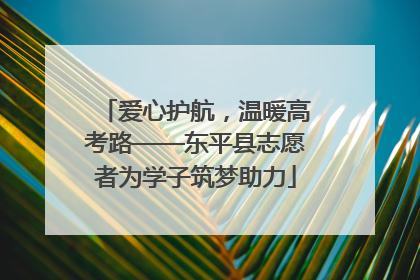 爱心护航，温暖高考路——东平县志愿者为学子筑梦助力