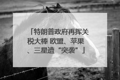 特朗普政府再挥关税大棒 欧盟、苹果、三星遭“突袭”