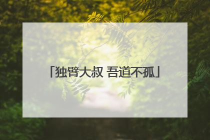 独臂大叔 吾道不孤