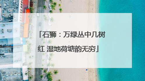 石狮：万绿丛中几树红 湿地荷塘韵无穷
