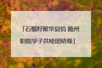 石榴籽聚华夏情 随州职院学子共绘团结卷