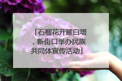 石榴花开耀白塔，新街口举办民族共同体宣传活动