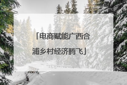 电商赋能广西合浦乡村经济腾飞