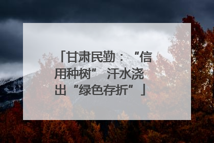 甘肃民勤：“信用种树” 汗水浇出“绿色存折”