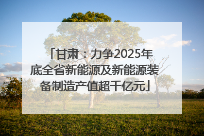 甘肃：力争2025年底全省新能源及新能源装备制造产值超千亿元