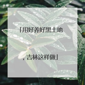 用好养好黑土地，吉林这样做