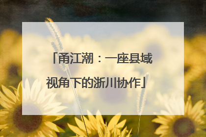 甬江潮：一座县域视角下的浙川协作