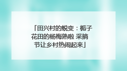田兴村的蜕变：栀子花田的杨梅熟啦 采摘节让乡村热闹起来