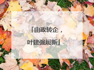 由政转企，叶建强履新