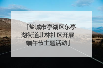 盐城市亭湖区东亭湖街道北林社区开展端午节主题活动