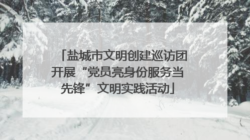 盐城市文明创建巡访团开展“党员亮身份服务当先锋”文明实践活动