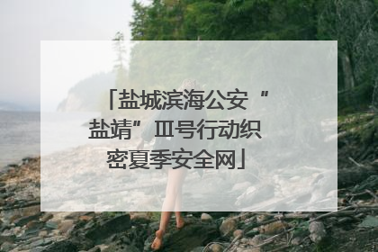 盐城滨海公安“盐靖”Ⅲ号行动织密夏季安全网