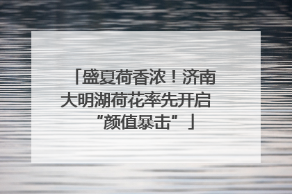 盛夏荷香浓！济南大明湖荷花率先开启“颜值暴击”