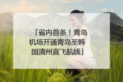 省内首条！青岛机场开通青岛至韩国清州直飞航线