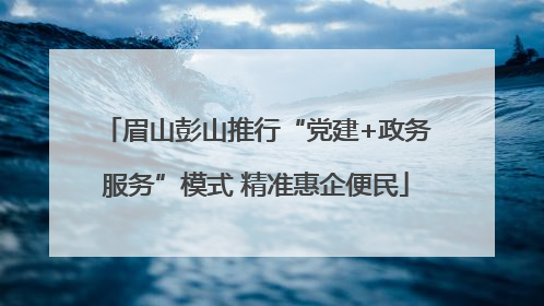 眉山彭山推行“党建+政务服务”模式 精准惠企便民