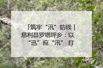 筑牢“汛”防线｜慈利县罗塔坪乡：以“迅”应“汛” 打赢暴雨防御战