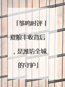 筝鸣时评丨夏粮丰收背后，是潍坊全城的守护