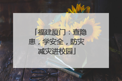 福建厦门：查隐患，学安全，防灾减灾进校园