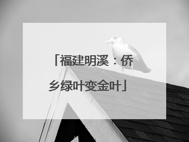 福建明溪：侨乡绿叶变金叶