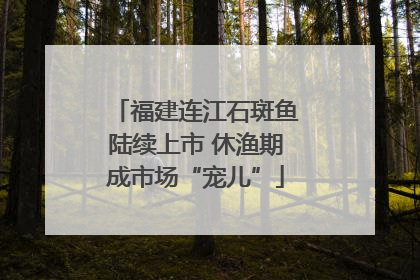 福建连江石斑鱼陆续上市 休渔期成市场“宠儿”