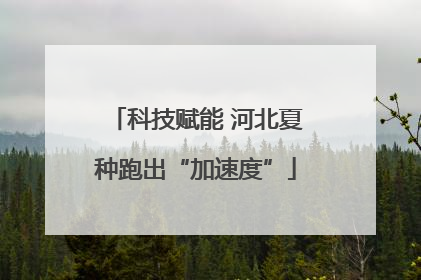 科技赋能 河北夏种跑出“加速度”