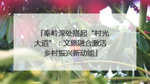 秦岭深处搭起“村光大道”：文旅融合激活乡村振兴新动能