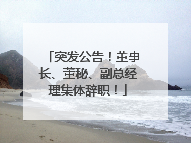 突发公告！董事长、董秘、副总经理集体辞职！