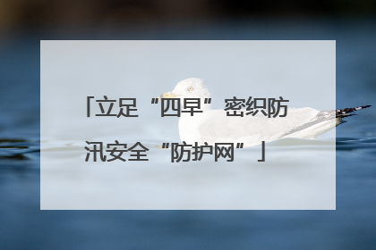 立足“四早”密织防汛安全“防护网”