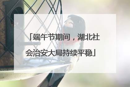 端午节期间，湖北社会治安大局持续平稳