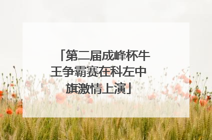 第二届成峰杯牛王争霸赛在科左中旗激情上演