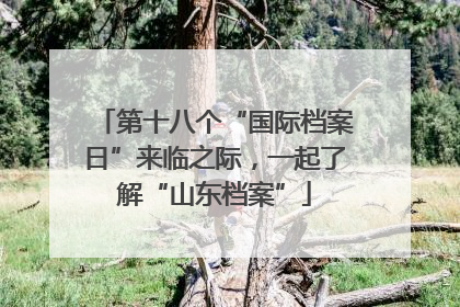 第十八个“国际档案日”来临之际，一起了解“山东档案”