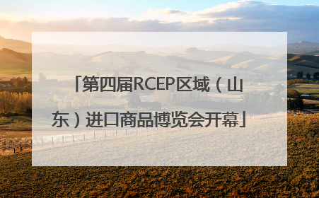 第四届RCEP区域（山东）进口商品博览会开幕