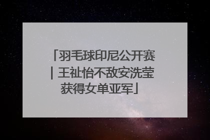 羽毛球印尼公开赛｜王祉怡不敌安洗莹 获得女单亚军