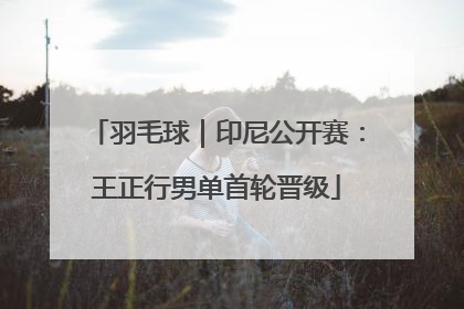 羽毛球｜印尼公开赛：王正行男单首轮晋级