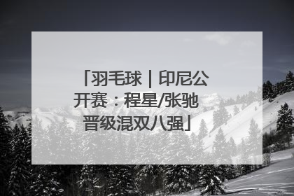 羽毛球｜印尼公开赛：程星/张驰晋级混双八强