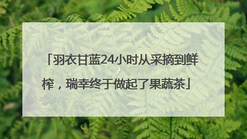 羽衣甘蓝24小时从采摘到鲜榨，瑞幸终于做起了果蔬茶